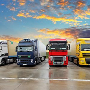 Truck and Fleet Management