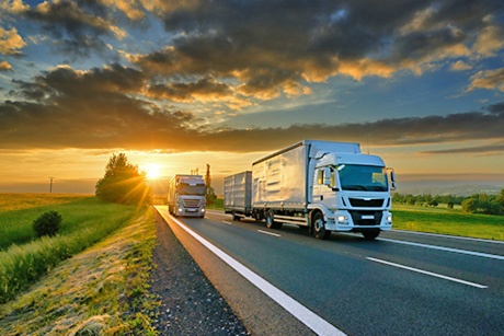 Domestic Truck Tracking & Fleet Management Featured